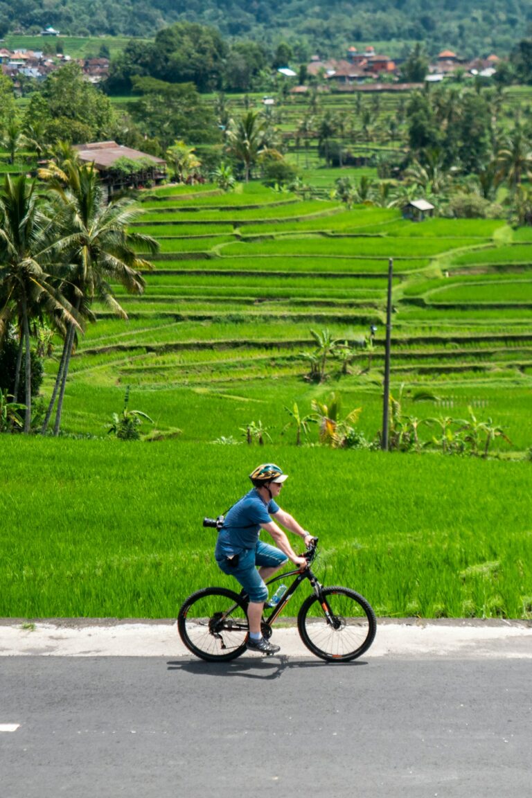 A cyclist riding past green paddy fields