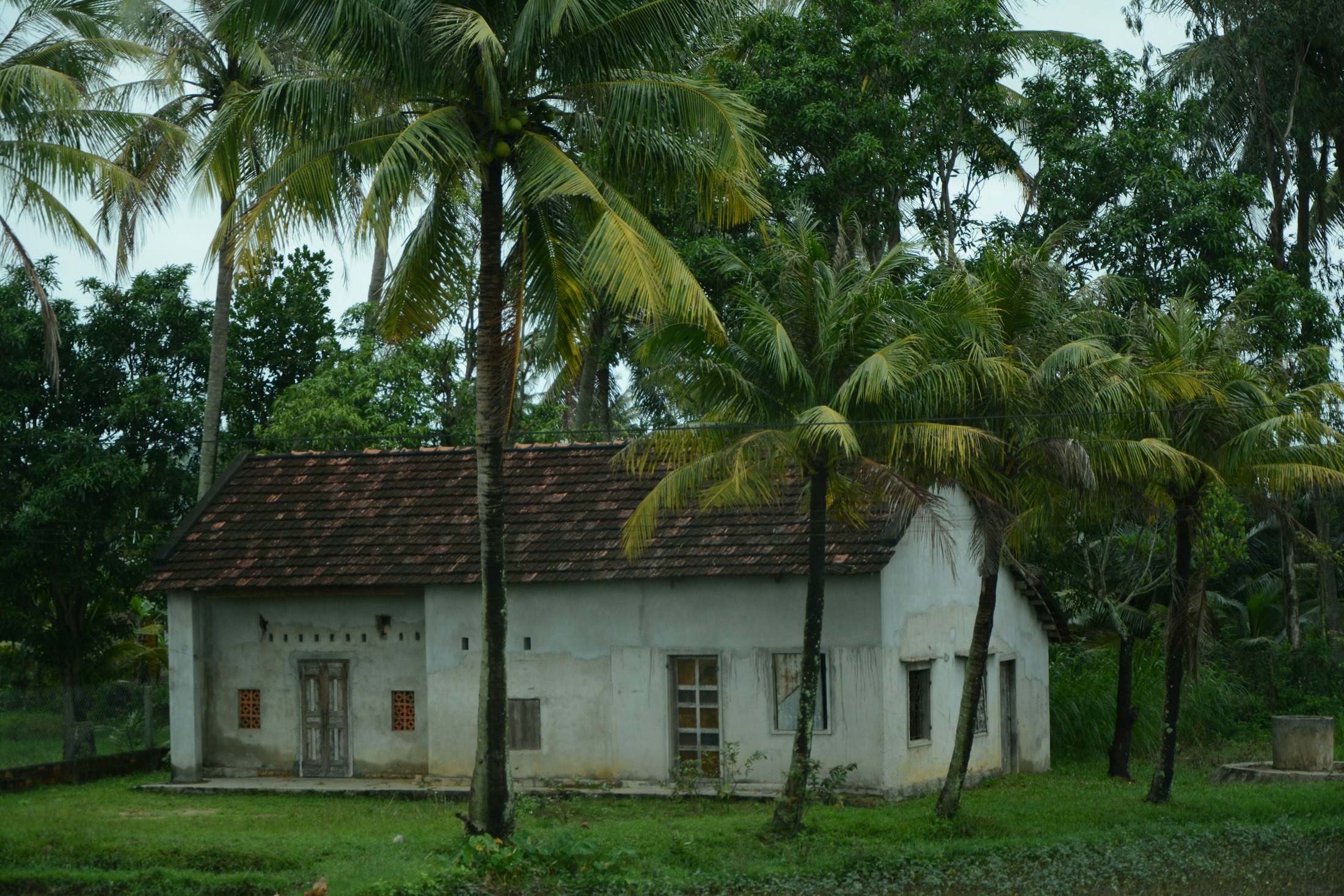 A white house under tall palm trees on a quiet, sunny afternoon